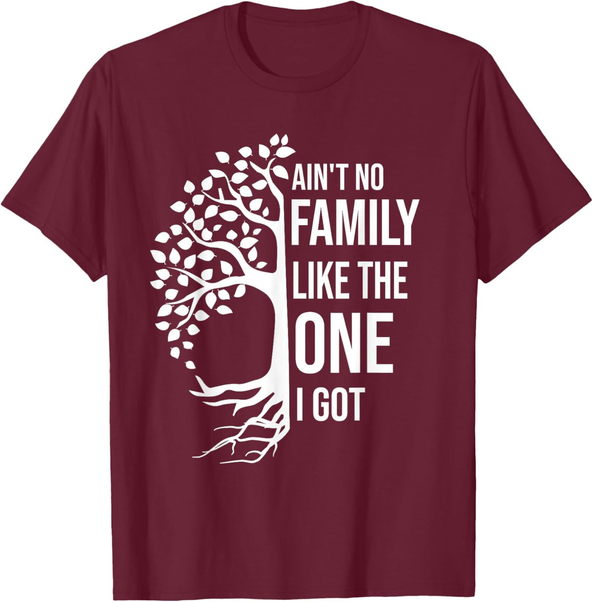 Ain't No Family Like The One I Got Funny Family Reunion 2025