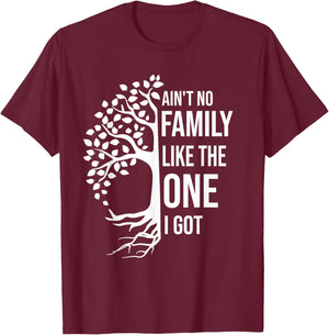 Ain't No Family Like The One I Got Funny Family Reunion 2025