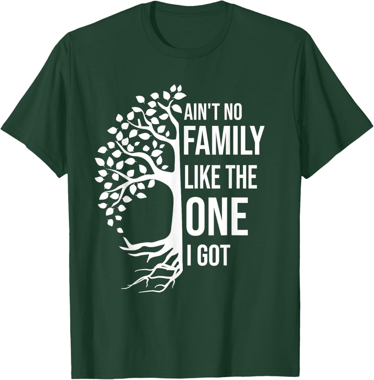 Ain't No Family Like The One I Got Funny Family Reunion 2025