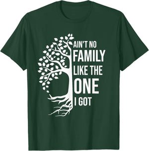 Ain't No Family Like The One I Got Funny Family Reunion 2025