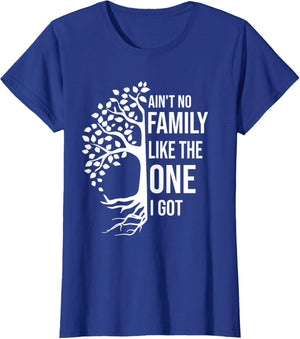 Ain't No Family Like The One I Got Funny Family Reunion 2025