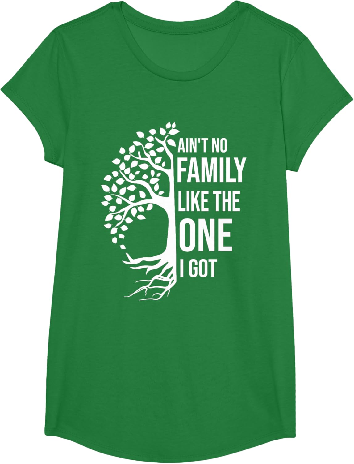 Ain't No Family Like The One I Got Funny Family Reunion 2025