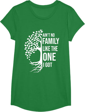 Ain't No Family Like The One I Got Funny Family Reunion 2025