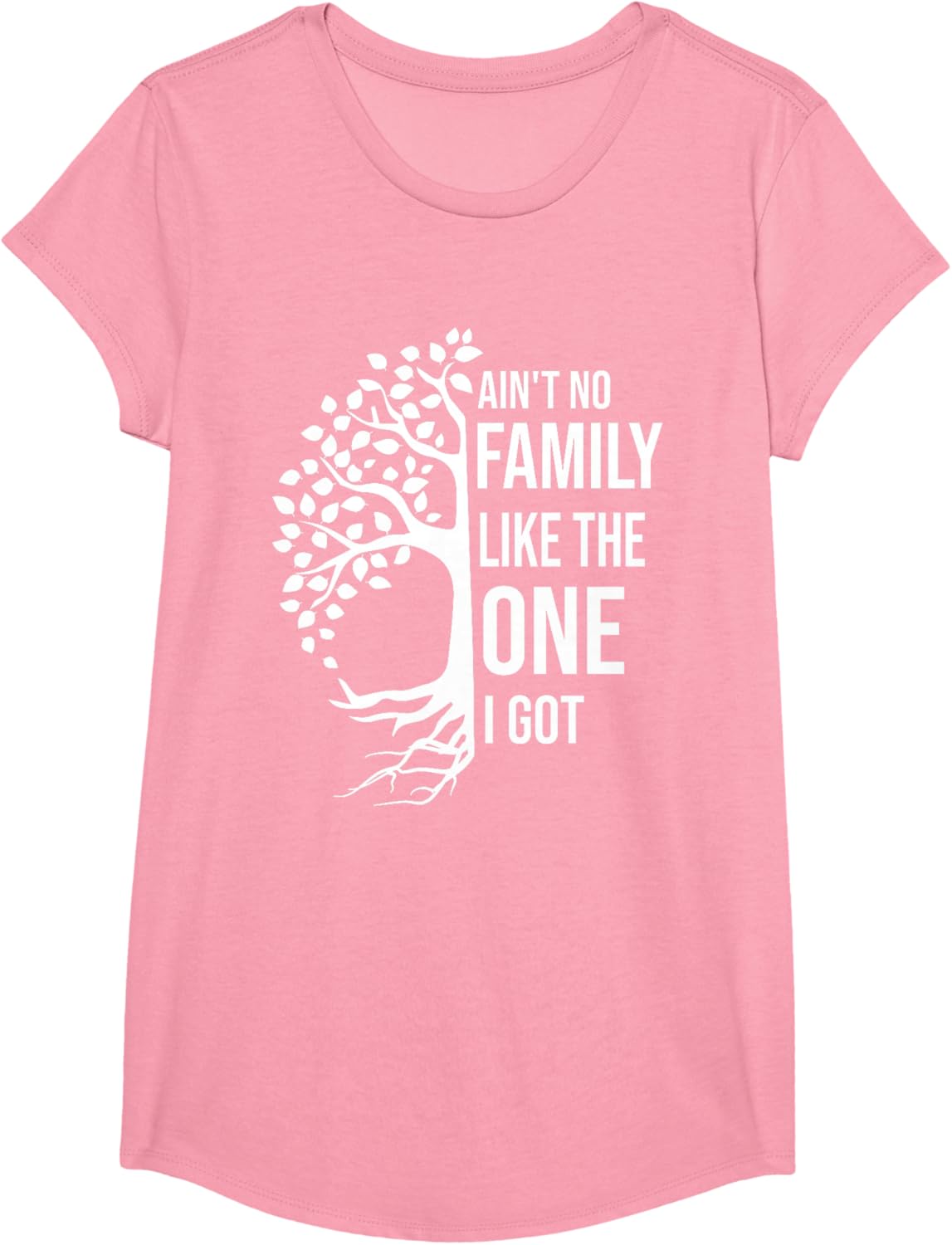 Ain't No Family Like The One I Got Funny Family Reunion 2025