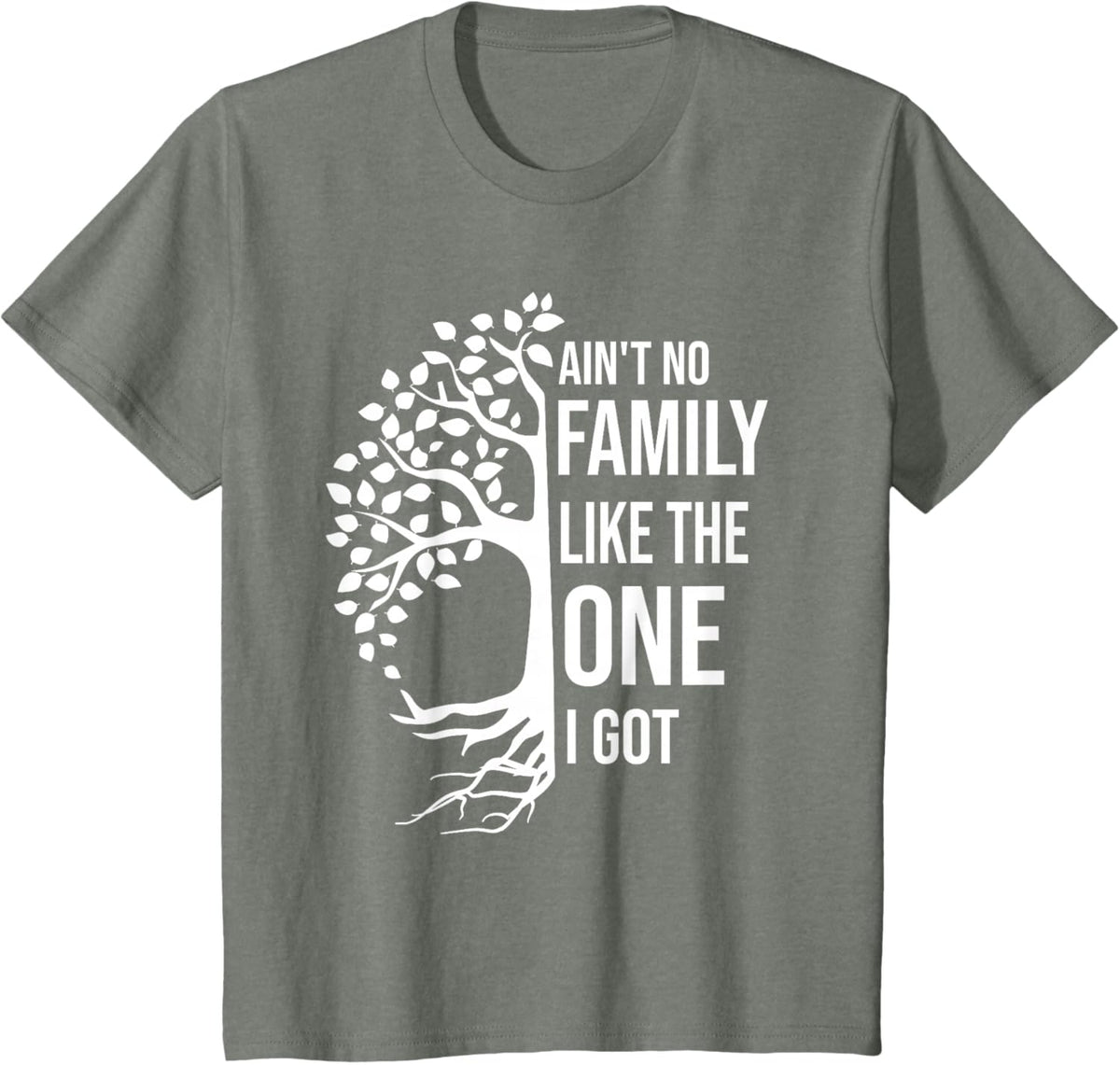 Ain't No Family Like The One I Got Funny Family Reunion 2025