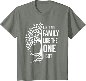 Ain't No Family Like The One I Got Funny Family Reunion 2025