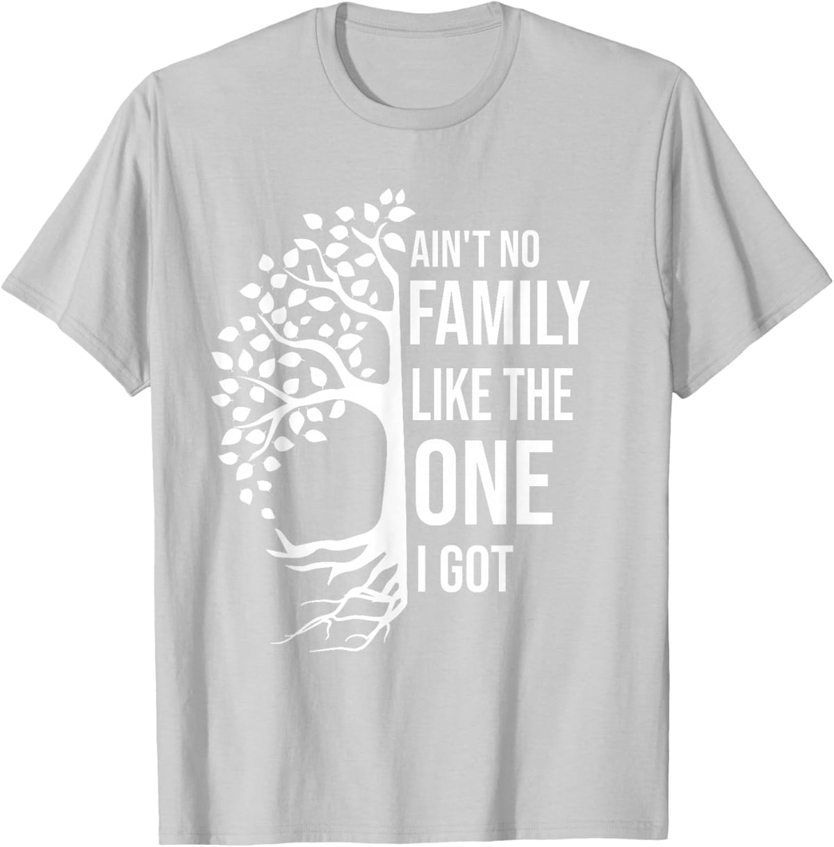 Ain't No Family Like The One I Got Funny Family Reunion 2025