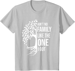 Ain't No Family Like The One I Got Funny Family Reunion 2025