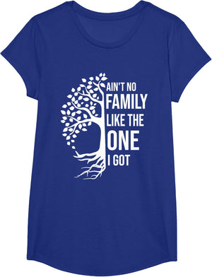 Ain't No Family Like The One I Got Funny Family Reunion 2025