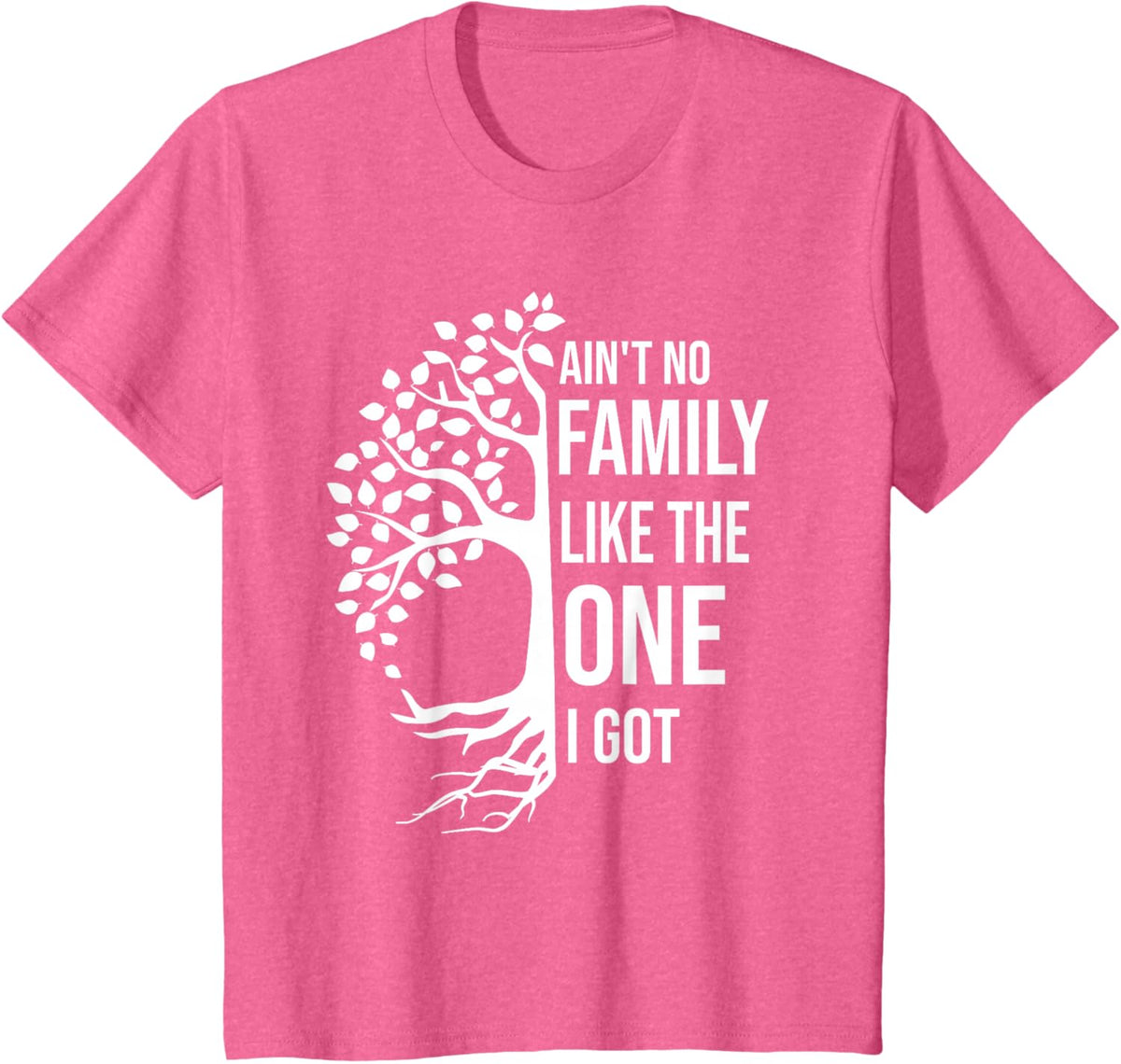 Ain't No Family Like The One I Got Funny Family Reunion 2025