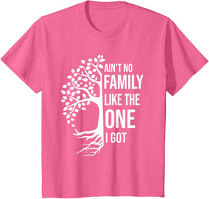 Ain't No Family Like The One I Got Funny Family Reunion 2025