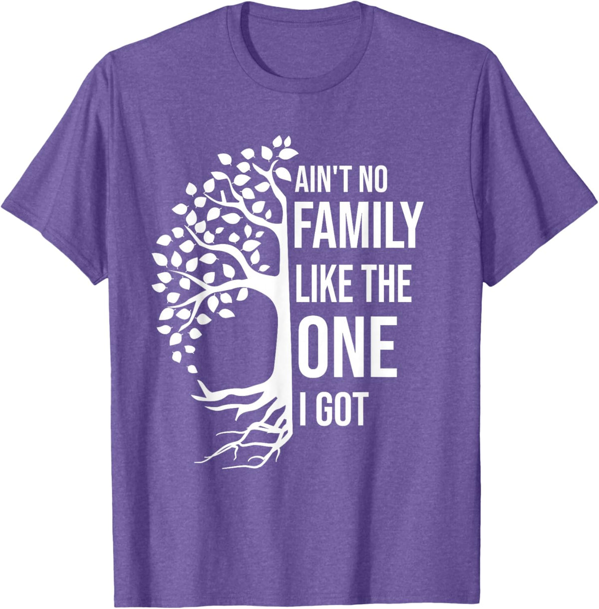 Ain't No Family Like The One I Got Funny Family Reunion 2025