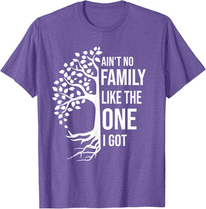 Ain't No Family Like The One I Got Funny Family Reunion 2025