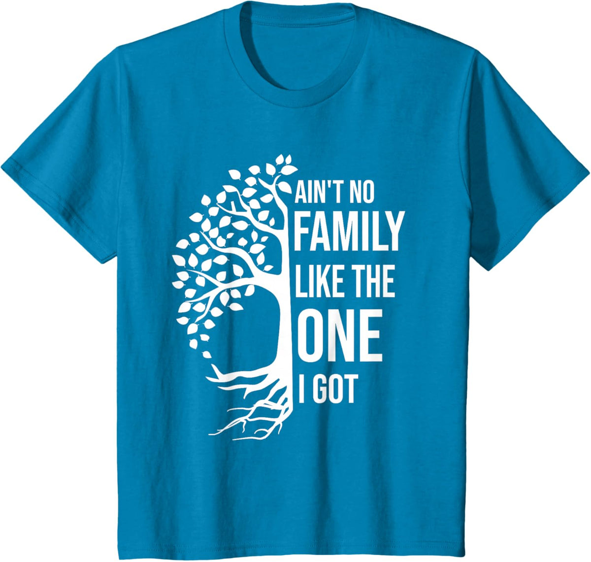 Ain't No Family Like The One I Got Funny Family Reunion 2025
