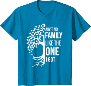 Ain't No Family Like The One I Got Funny Family Reunion 2025