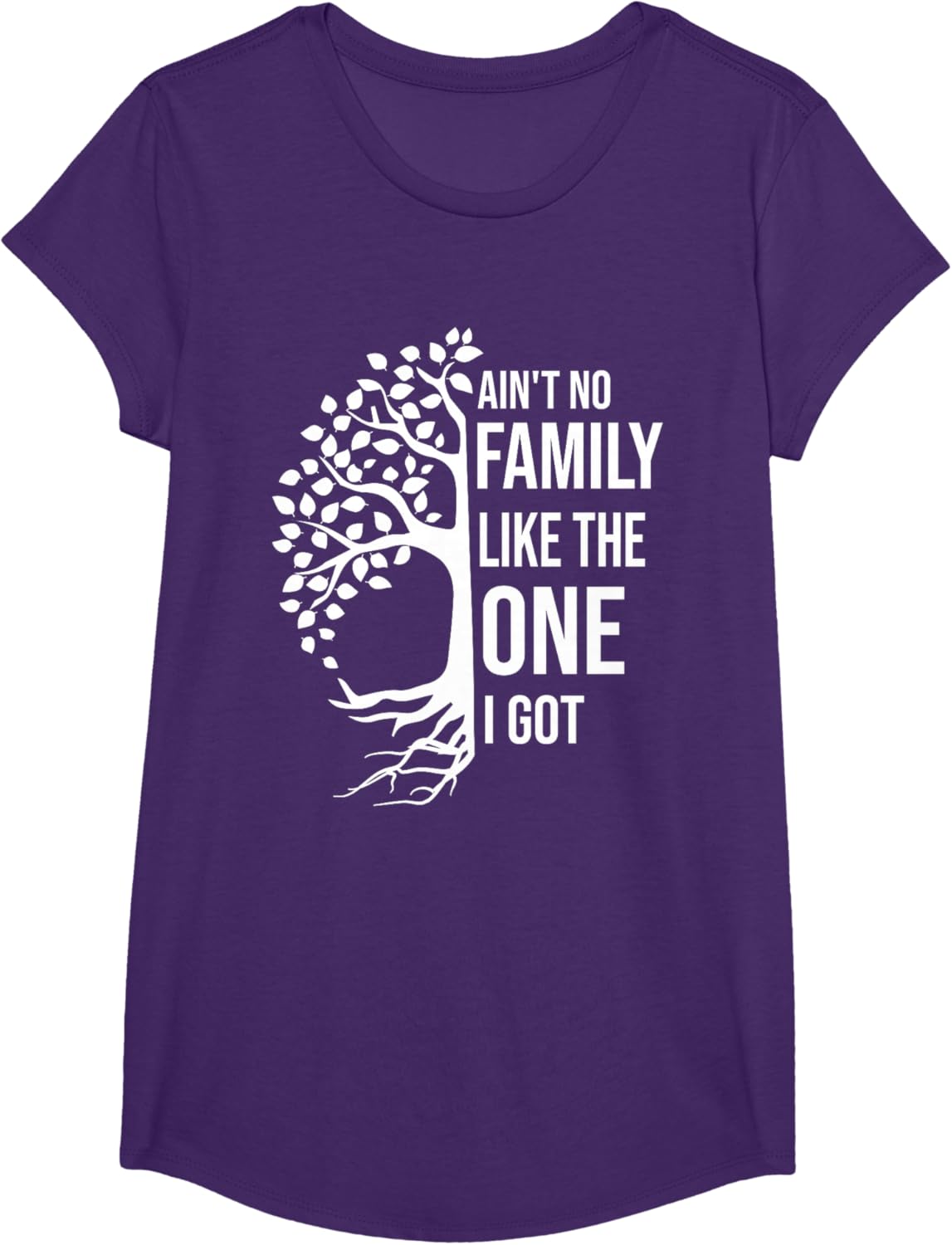 Ain't No Family Like The One I Got Funny Family Reunion 2025