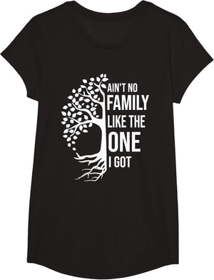 Ain't No Family Like The One I Got Funny Family Reunion 2025