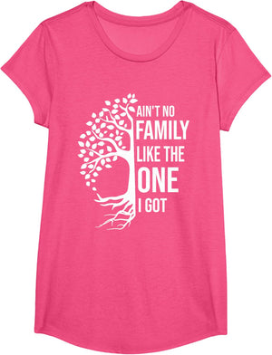 Ain't No Family Like The One I Got Funny Family Reunion 2025