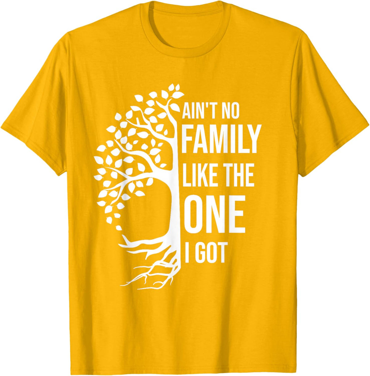 Ain't No Family Like The One I Got Funny Family Reunion 2025