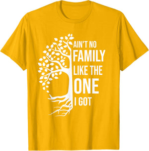 Ain't No Family Like The One I Got Funny Family Reunion 2025