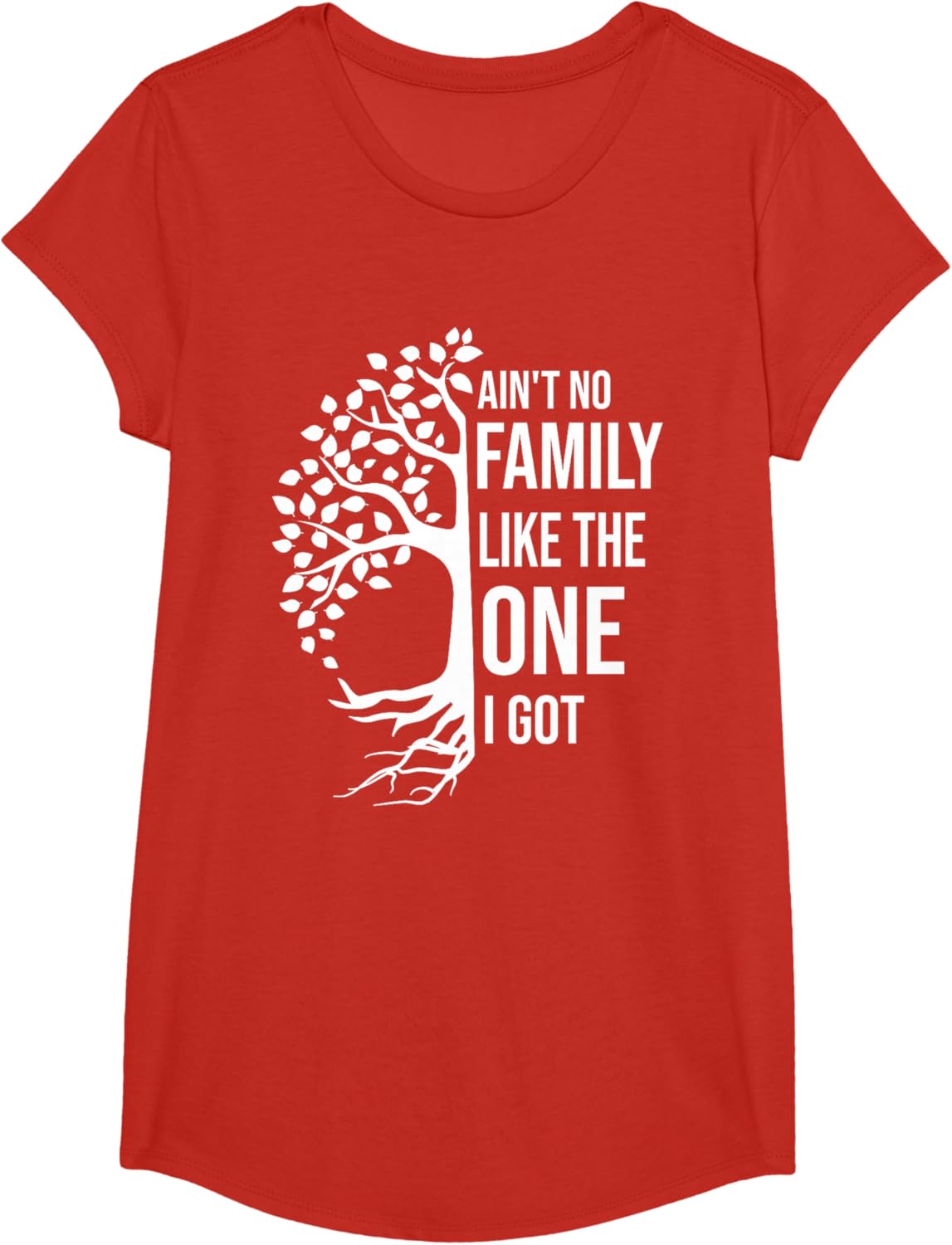 Ain't No Family Like The One I Got Funny Family Reunion 2025