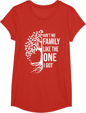 Ain't No Family Like The One I Got Funny Family Reunion 2025