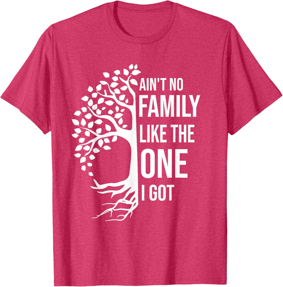 Ain't No Family Like The One I Got Funny Family Reunion 2025