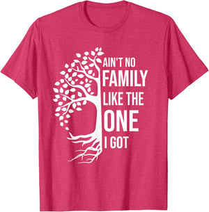 Ain't No Family Like The One I Got Funny Family Reunion 2025