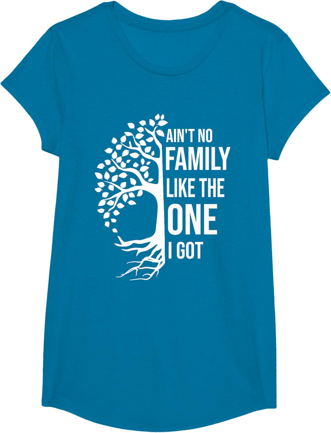 Ain't No Family Like The One I Got Funny Family Reunion 2025