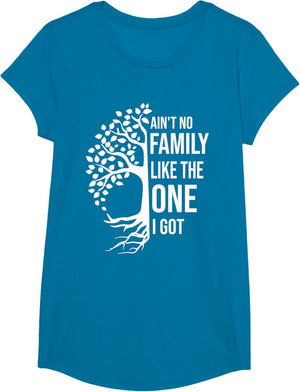 Ain't No Family Like The One I Got Funny Family Reunion 2025
