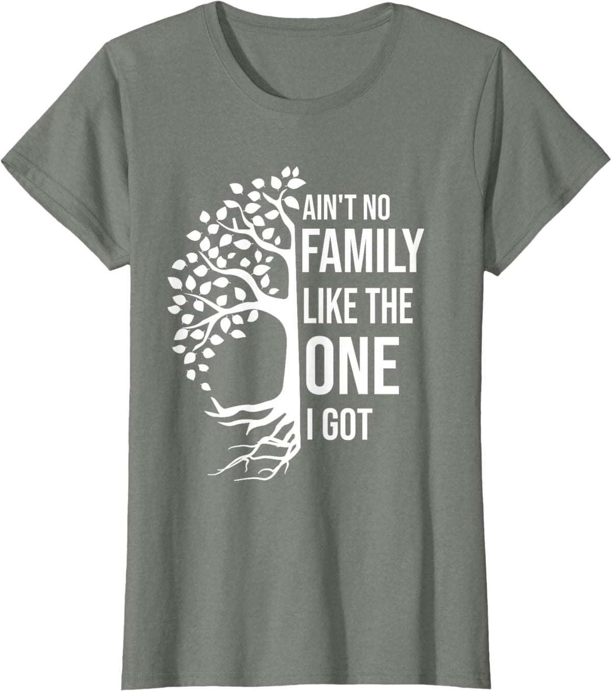 Ain't No Family Like The One I Got Funny Family Reunion 2025