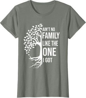 Ain't No Family Like The One I Got Funny Family Reunion 2025