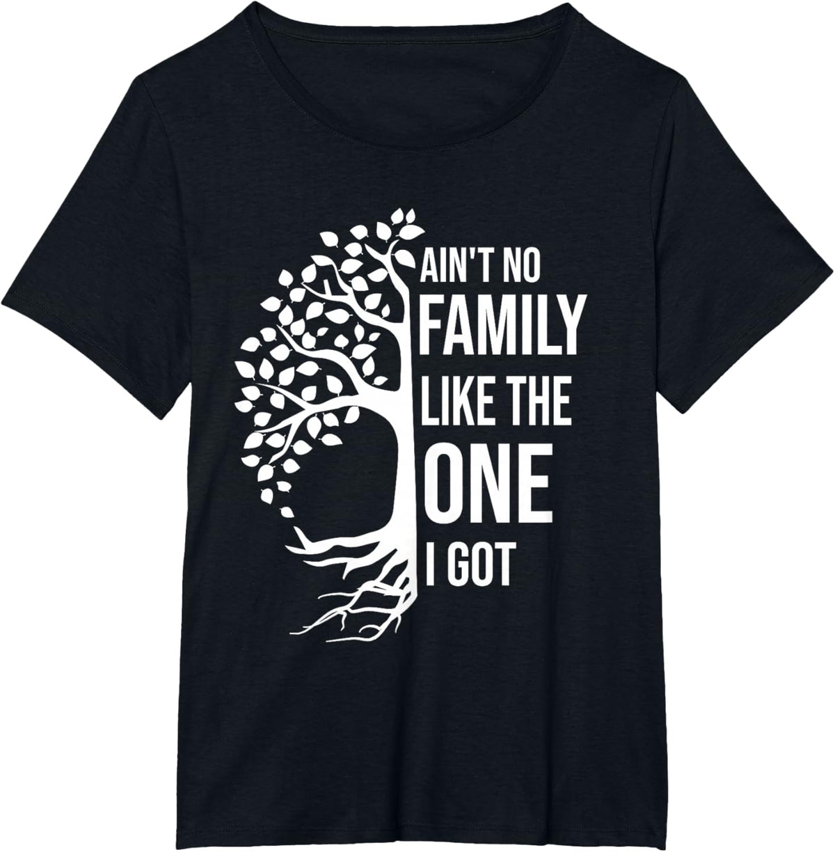 Ain't No Family Like The One I Got Funny Family Reunion 2025