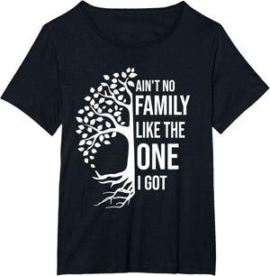 Ain't No Family Like The One I Got Funny Family Reunion 2025