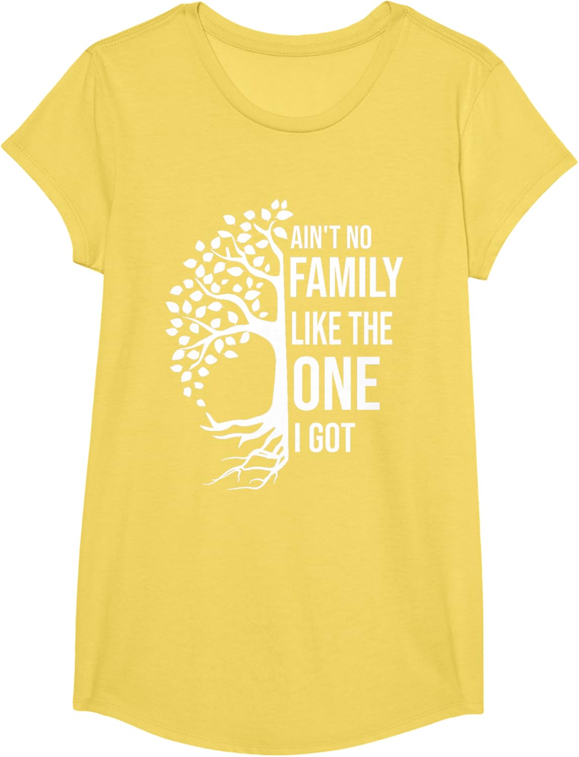 Ain't No Family Like The One I Got Funny Family Reunion 2025