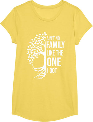 Ain't No Family Like The One I Got Funny Family Reunion 2025
