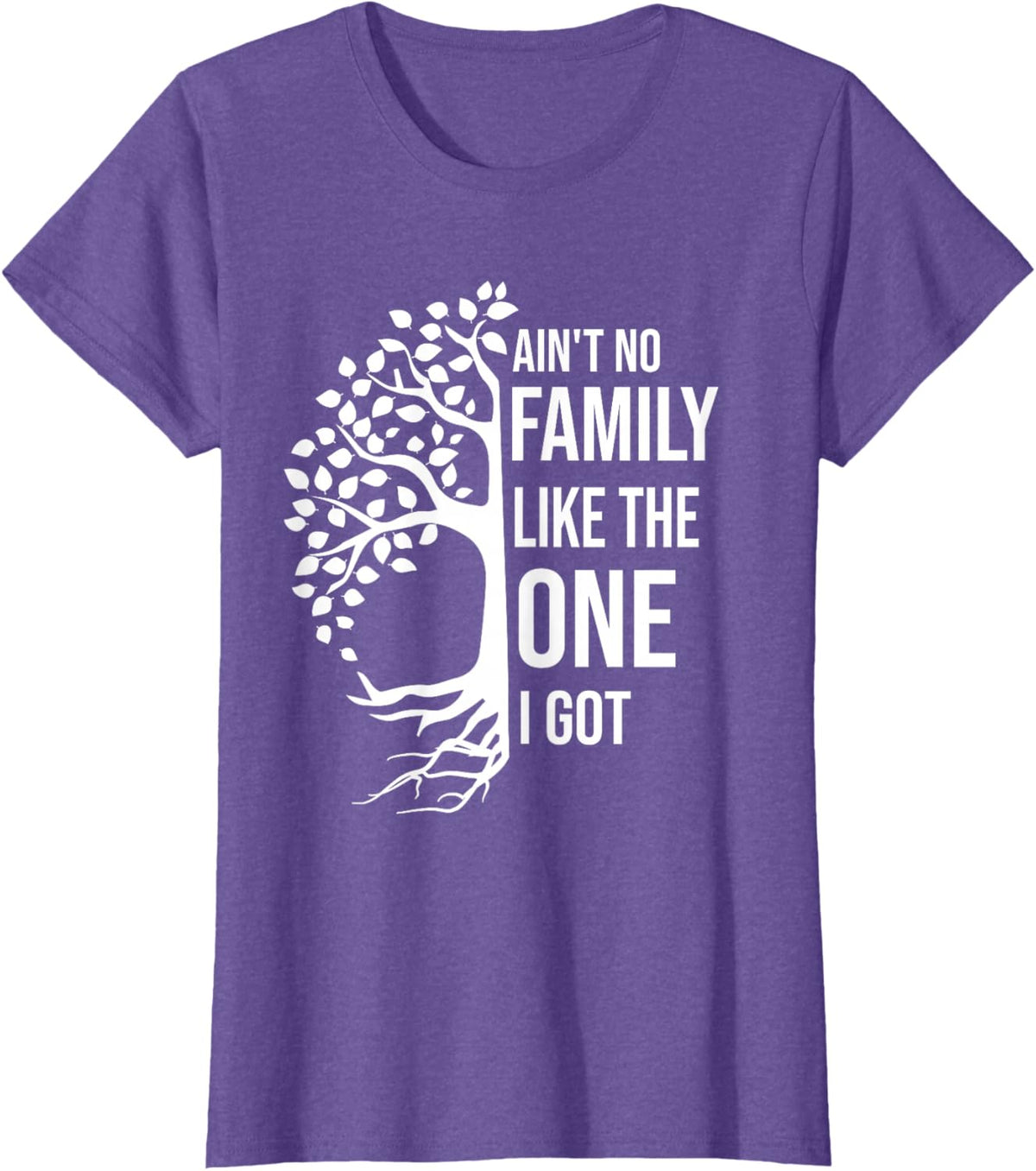 Ain't No Family Like The One I Got Funny Family Reunion 2025