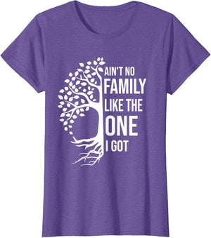 Ain't No Family Like The One I Got Funny Family Reunion 2025