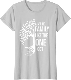 Ain't No Family Like The One I Got Funny Family Reunion 2025
