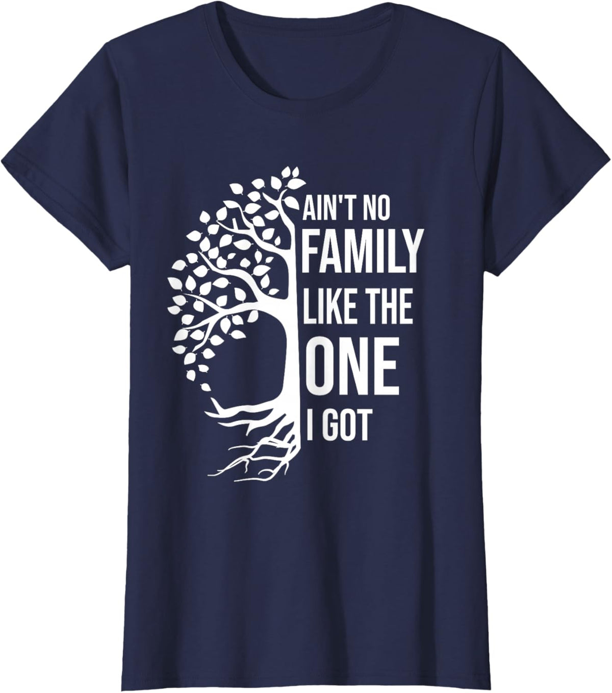 Ain't No Family Like The One I Got Funny Family Reunion 2025