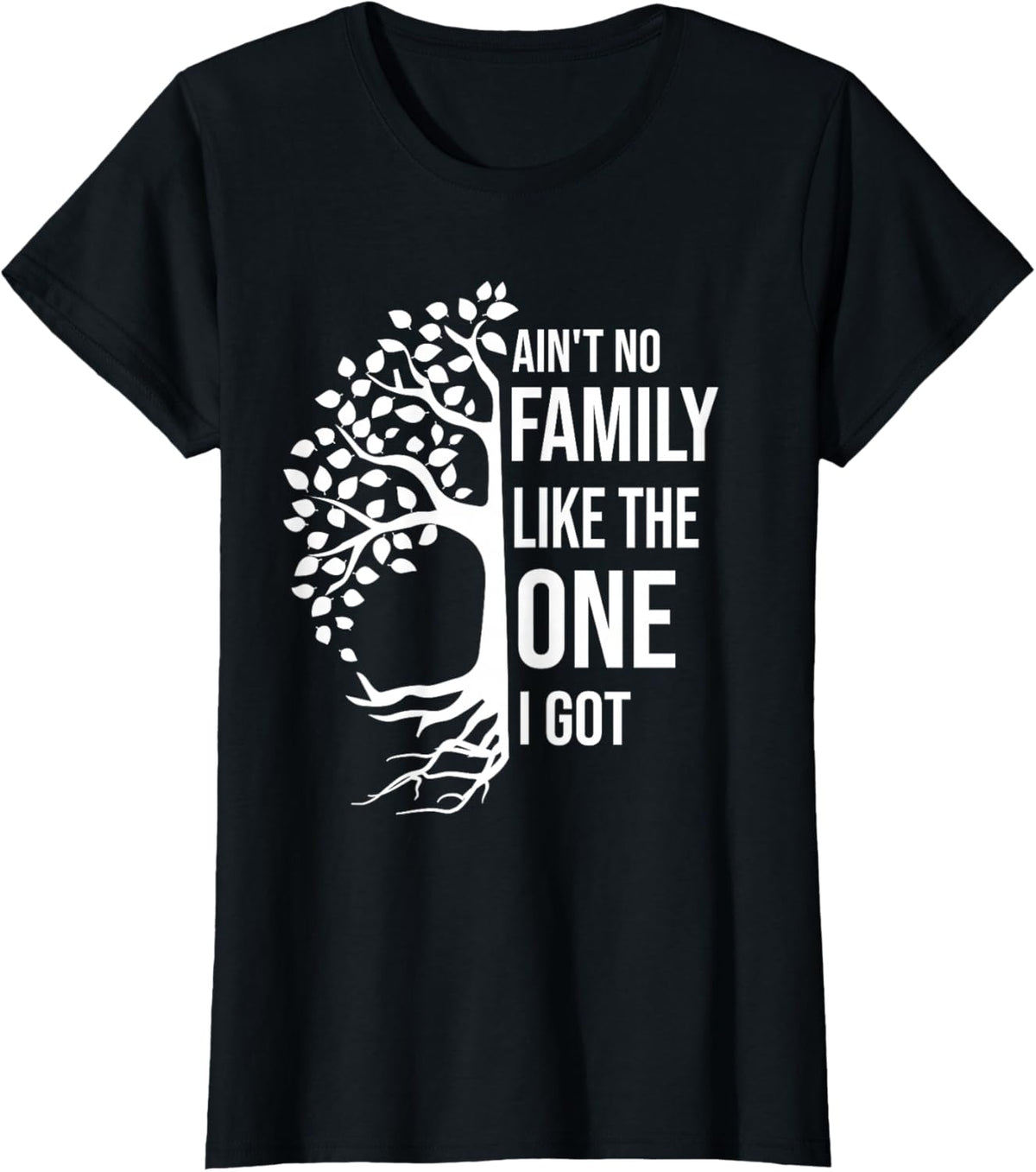 Ain't No Family Like The One I Got Funny Family Reunion 2025