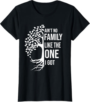 Ain't No Family Like The One I Got Funny Family Reunion 2025