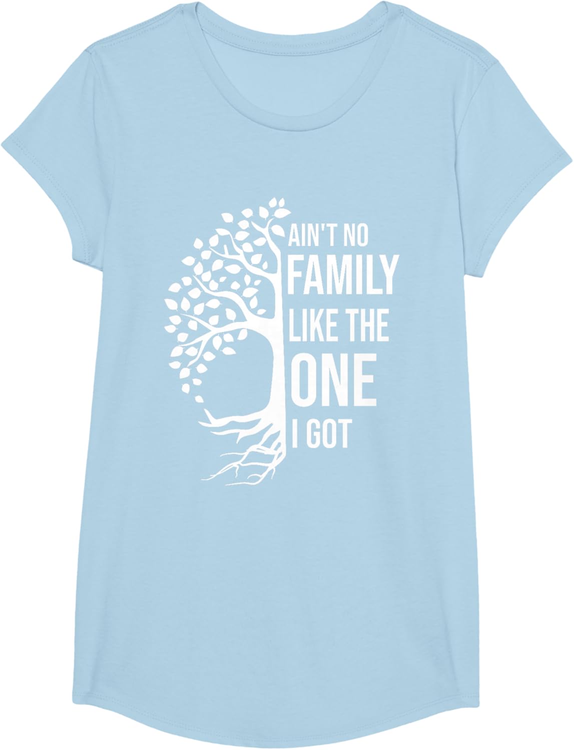 Ain't No Family Like The One I Got Funny Family Reunion 2025