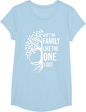 Ain't No Family Like The One I Got Funny Family Reunion 2025