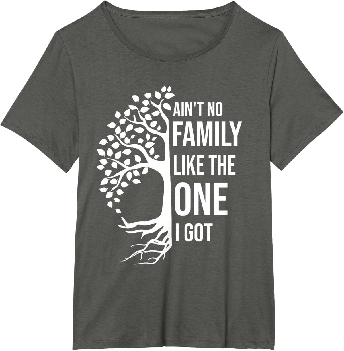 Ain't No Family Like The One I Got Funny Family Reunion 2025