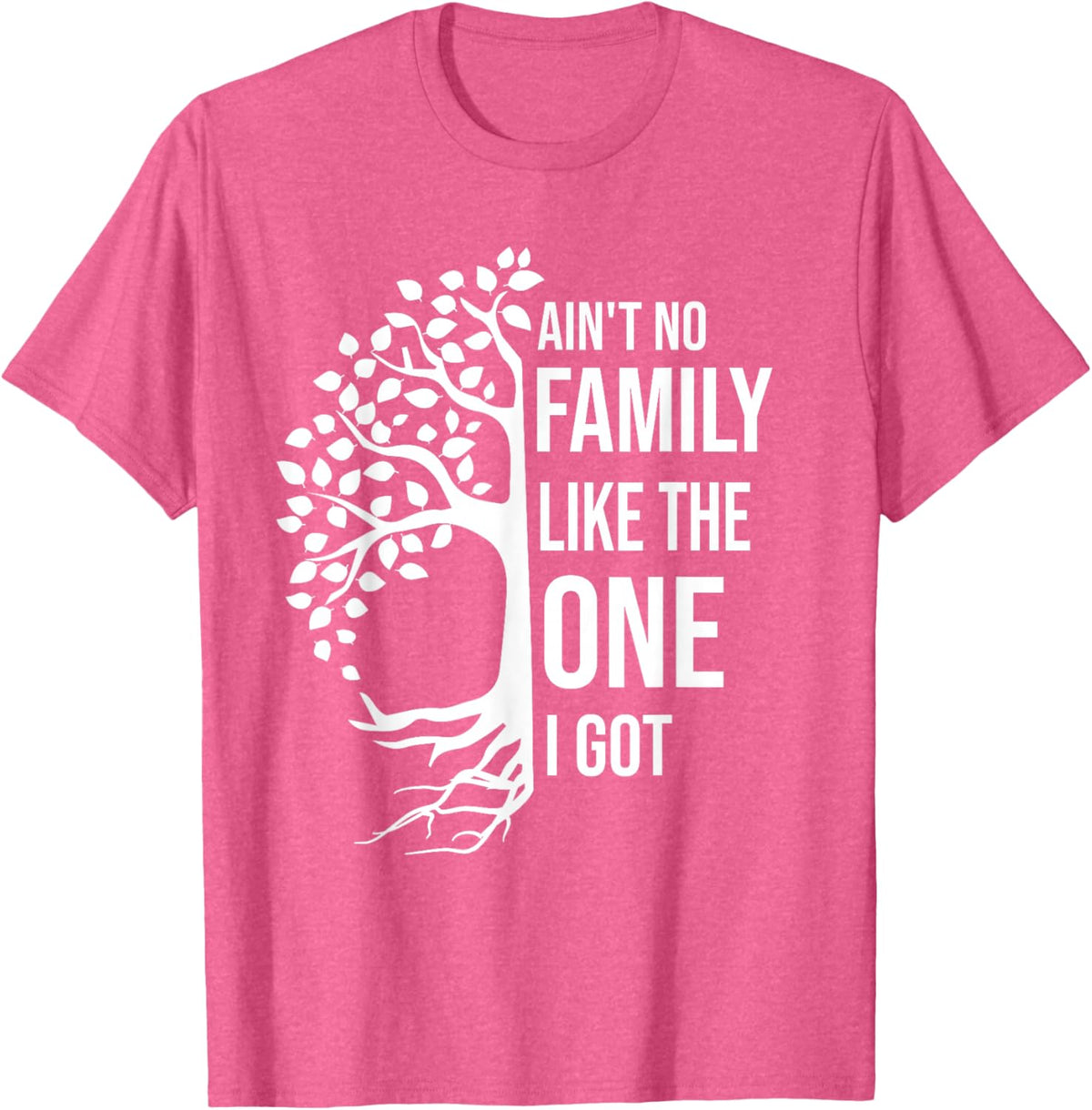 Ain't No Family Like The One I Got Funny Family Reunion 2025