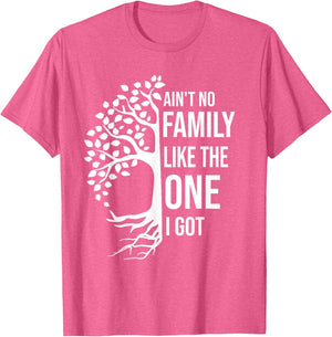 Ain't No Family Like The One I Got Funny Family Reunion 2025