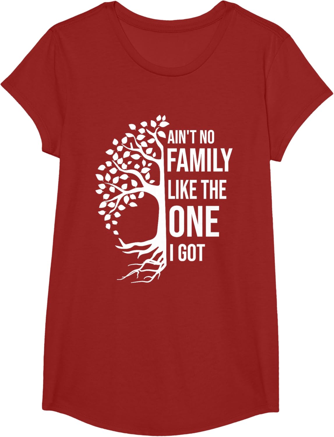 Ain't No Family Like The One I Got Funny Family Reunion 2025