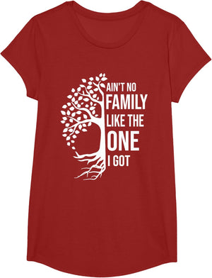 Ain't No Family Like The One I Got Funny Family Reunion 2025