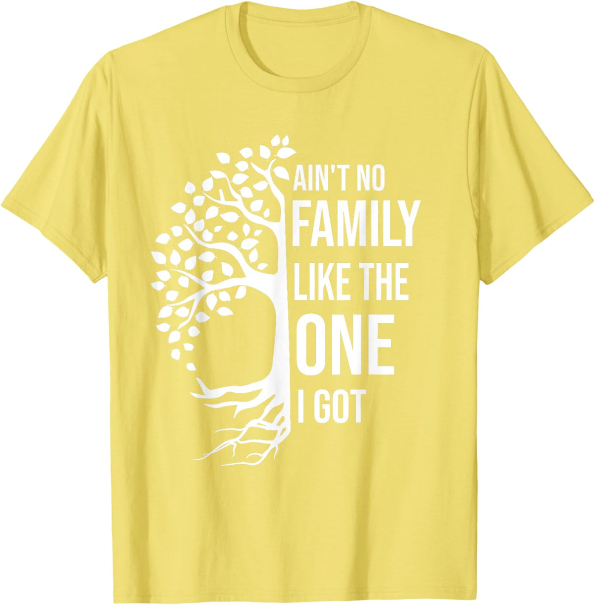 Ain't No Family Like The One I Got Funny Family Reunion 2025